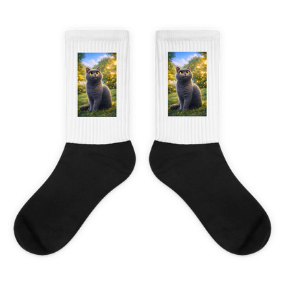 Unieke sokken met huisdierfoto als cadeau